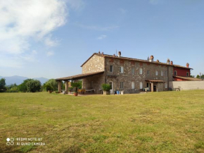 Ringo, the true Tuscany Country House Capannori